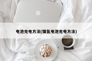 电池充电方法(镍氢电池充电方法)