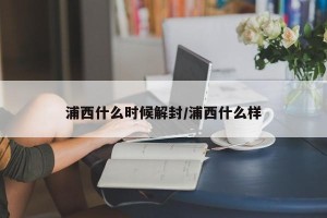 浦西什么时候解封/浦西什么样