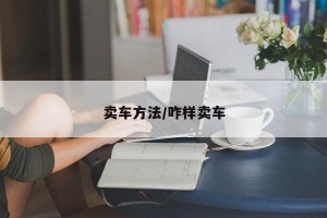 卖车方法/咋样卖车