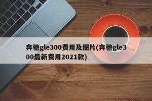 奔驰gle300费用及图片(奔驰gle300最新费用2021款)