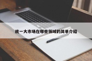 统一大市场在哪些领域的简单介绍