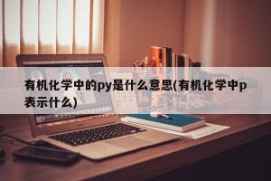 有机化学中的py是什么意思(有机化学中p表示什么)